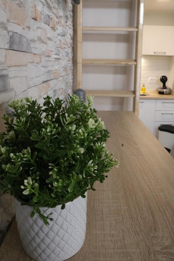 Studio Apartman Chiara Zagreb Eksteriør bilde